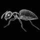 Erer.small