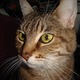 Profil_kick.small
