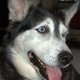 Fb_profile_picture.small