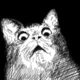 Catwtf.small