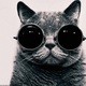 Catblackandwhiteglasses-5677485ceab3ddee7eb1daa314de6f9e_h_large.small