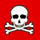 Cs%20flag.small