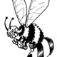 Greenhornet.small