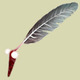 Avatar_34_botanicula.small
