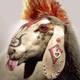 Misfitssheep.small