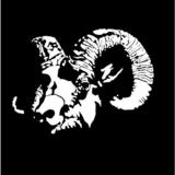 Ramlq.medium