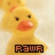 Aimbuddyicon-duck.small