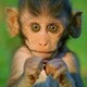 Aben.small