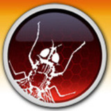 Rf_bug.large.medium