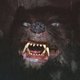 Fb_profile_picture.small