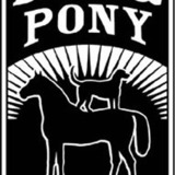 Doganpony.medium