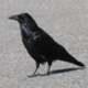 149_bigger.small