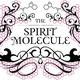 Dmt_final_logo.small