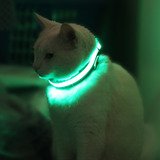 Green_cat.medium