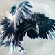 1280x720-dizorb-northern-eagle-hd-wallpaper.small