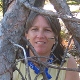 Mare_woods.medium