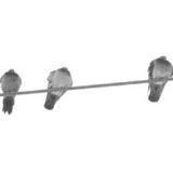 Kickstartbanner2.medium