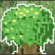 Icon1.small