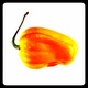 Img_8093.small