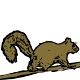 Squirrel.small