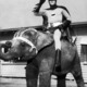 Adam-west.small