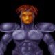 Personal%20armour%20torso%202.small