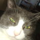 26052009233.small