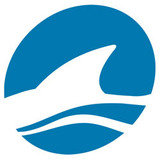 Lsg_icon_bigger.medium