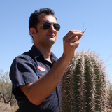 Cactus.medium