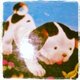 Fb_profile_picture.small