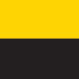 Favicon.medium