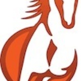 Horsesmall.medium