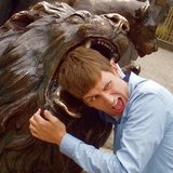 Lion.medium