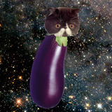 Eggplant_kitten_in_space.medium