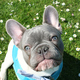 Casper%20(7)%20-%20may%209th%202012.small
