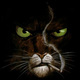 Blacksad.small