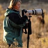 Carolwalkerauthorphotoversmall.medium