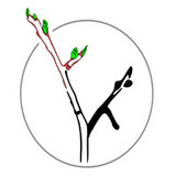 Bourgeon-small-web.medium