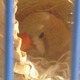 Img_20120306_072416.small