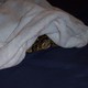 100_0377.small