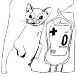 Weasel.medium