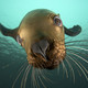 Seal.small