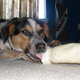 Fb_profile_picture.small