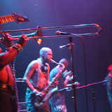 Fishbone%201%20angelo.medium