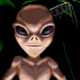1291643917xcom.small