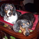 Milwaukeenantucketinbed.small