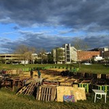 Stgarden15001_1334276641.medium
