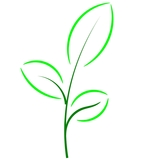 Tealeaflogo.medium