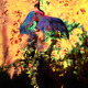 Dreams4_em.small
