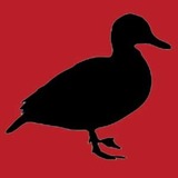 Fowl%20play.medium